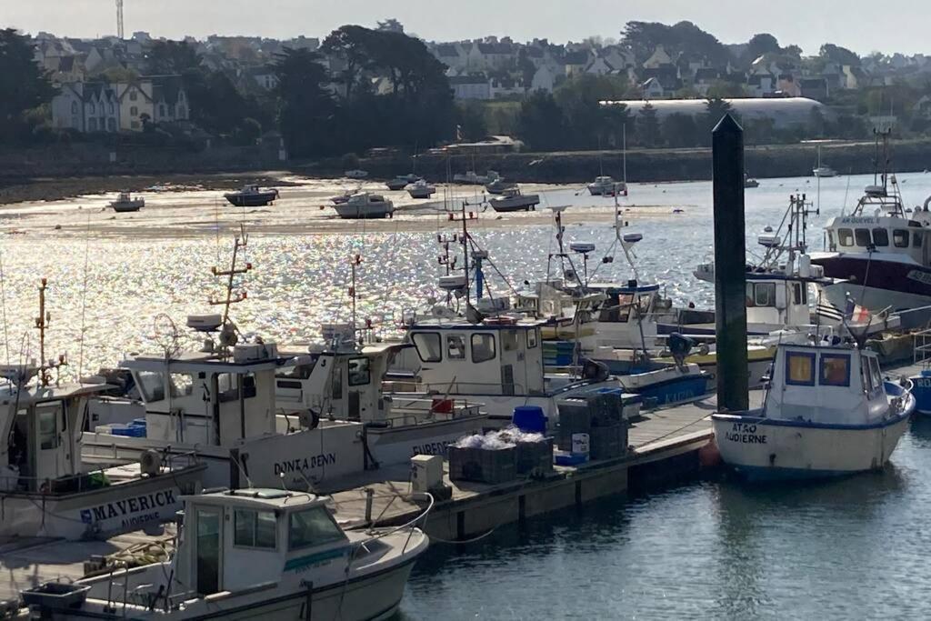Pen Ty Sur Les Hauteurs- Audierne- Plouhinec Plouhinec (Finistere) Exterior foto